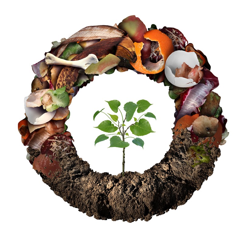 Ciclu complet de valorificare a deșeurilor biodegradabile în economie circulară