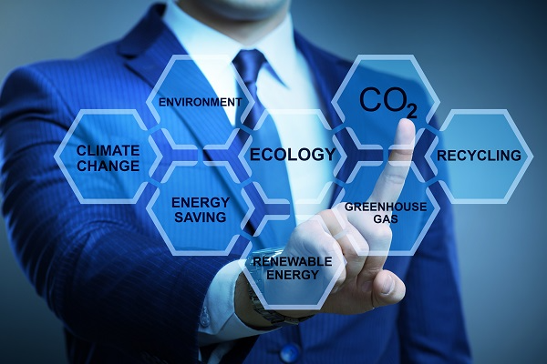 actiuni companii reducere amprenta carbon