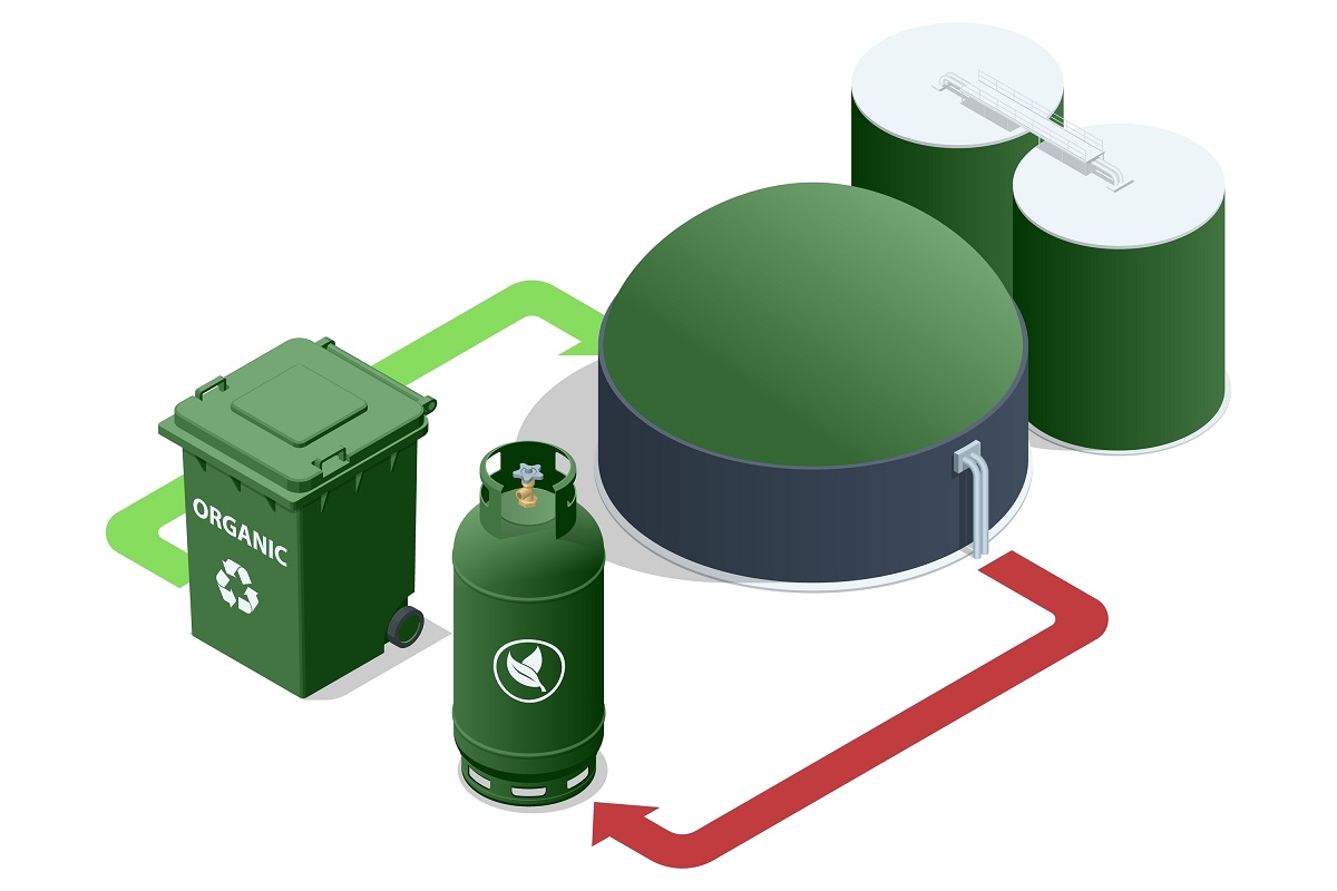 Deșeuri biodegradabile vs. compostabile – care e diferența?
