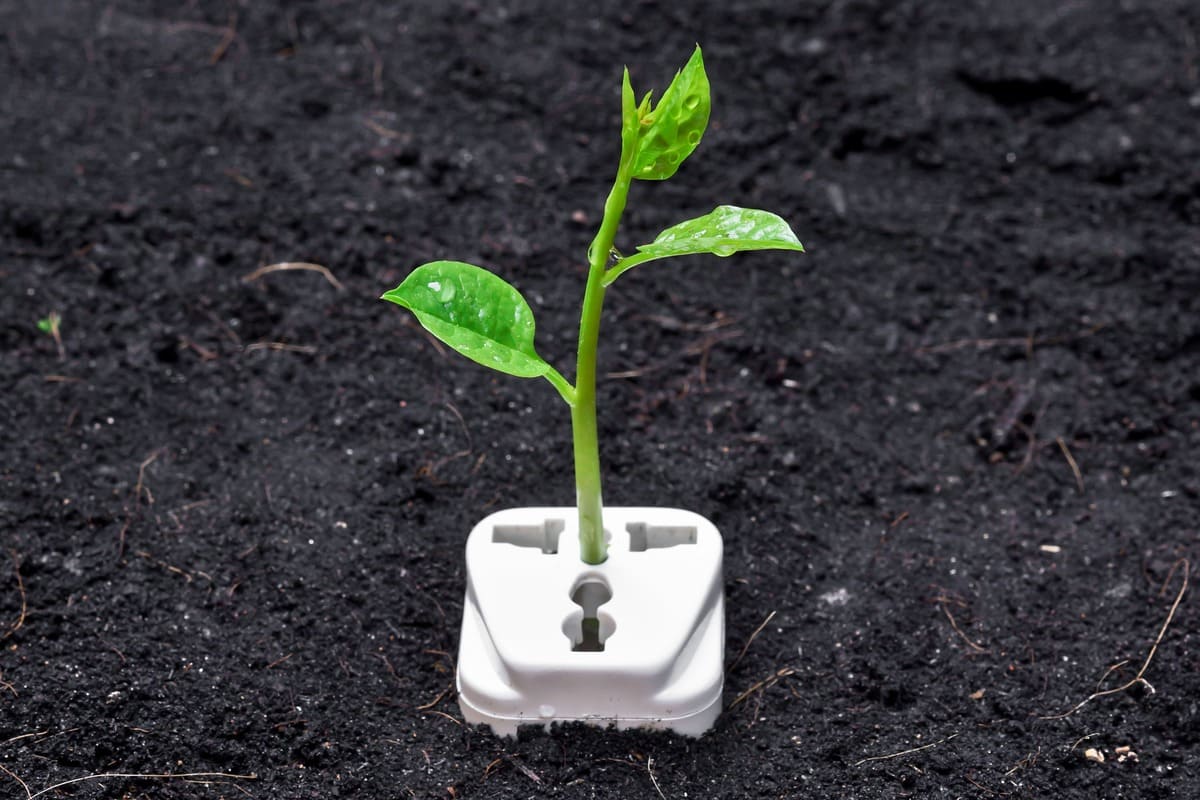 energie verde responsabilitate sociala corporativa mediu dezvoltare sustenabila