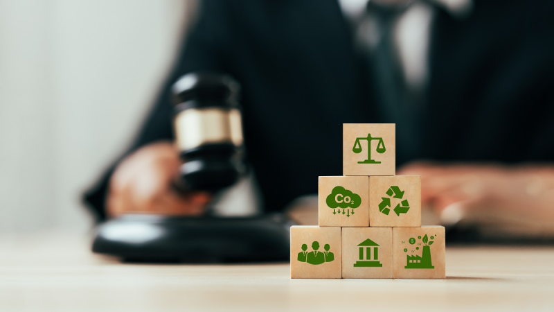 Clasificarea deșeurilor în România: reguli de colectare și obligații pentru companii