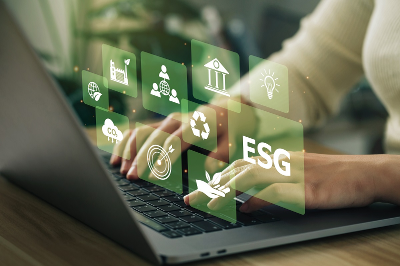 raportare esg firme sustenabilitate