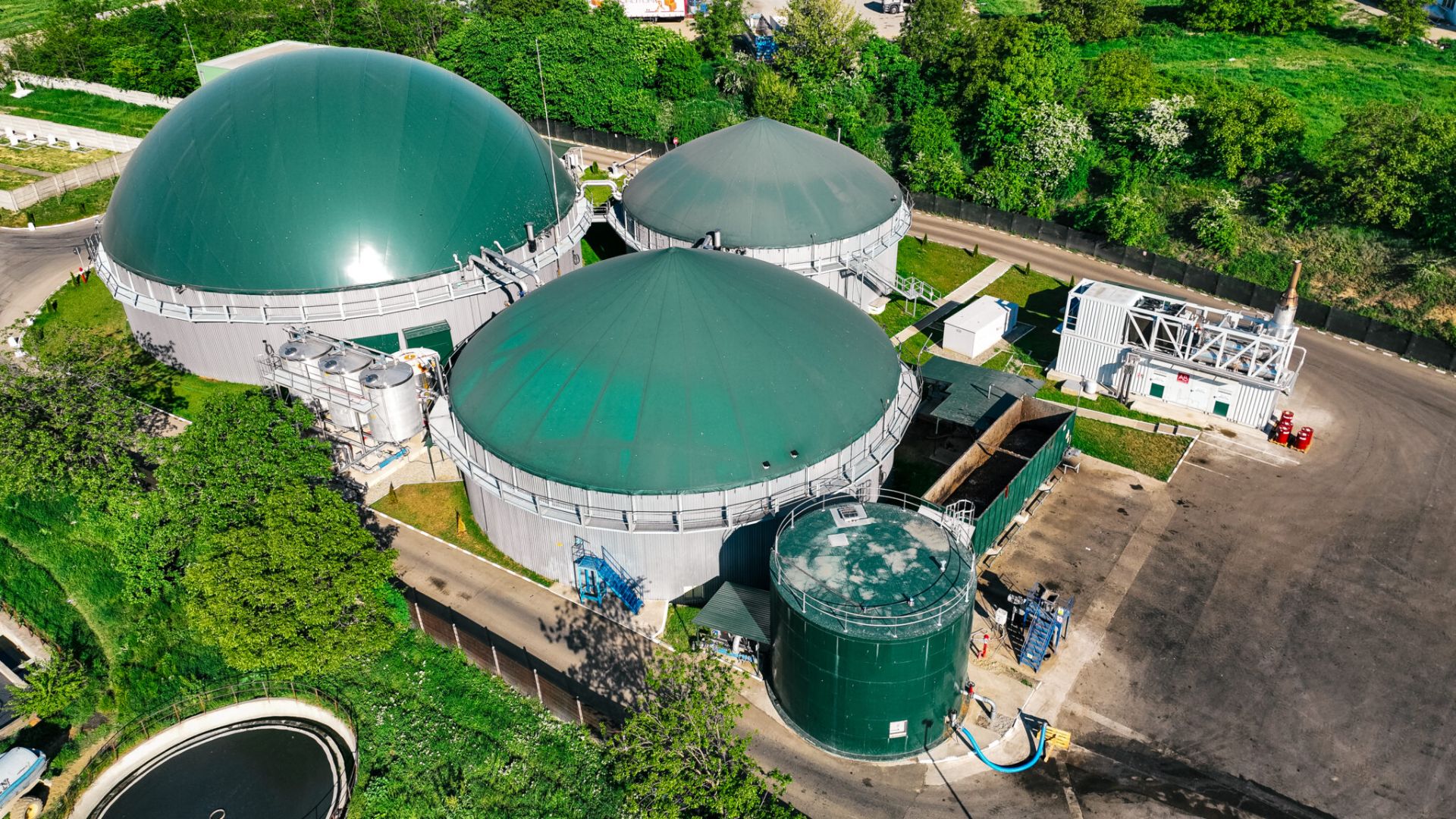 Biogazul: energie verde cu potențial ridicat, durabilă, dar foarte puțin exploatată în România